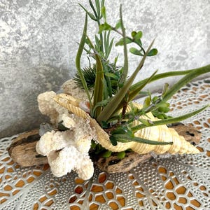 May include: A set of three ceramic mugs with a speckled, matte finish. The mugs are in shades of cream, light gray, and dark gray. Each mug has a simple, minimalist design and a rounded handle.