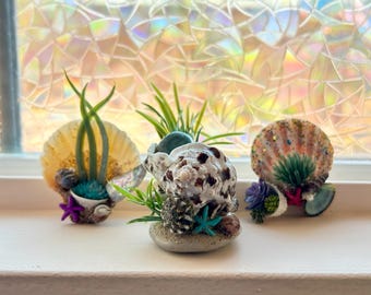 May include: Three decorative seashell sculptures. The shells are embellished with faux plants, starfish, and other sea-themed elements. The shells are in shades of yellow, white, and brown, with accents of blue, green, and purple. They are arranged on a white surface.