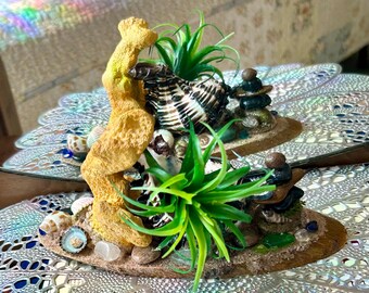 May include: A decorative seashell and stone arrangement featuring a yellow coral-like structure, green air plants, and various seashells. The base is a sandy-colored oval, with small stones and clear crystals. The arrangement is on a reflective surface.