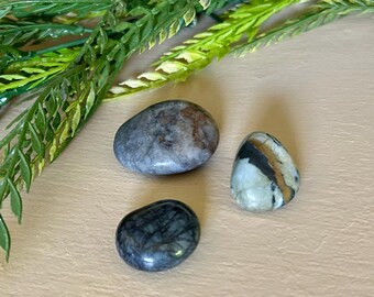 May include: Three polished stones in shades of gray, brown, and black. The stones have smooth, rounded shapes and varying patterns. Green and yellow faux foliage is in the background.