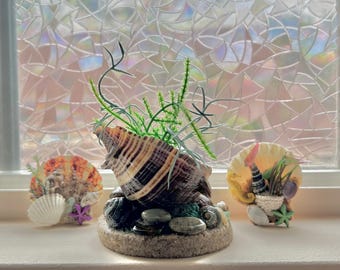 May include: Three seashell decorations. The largest shell is brown and tan with green plant accents. The other two shells are orange and white, with starfish and other small shells. The decorations are on a white surface.