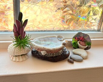 May include: A collection of decorative seashell and rock arrangements. Includes a sea urchin with a purple and green plant, a shell bowl on a rock base, and a miniature scene with a basket and starfish. The items are displayed on a white windowsill.