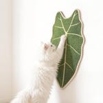 Cat Furniture