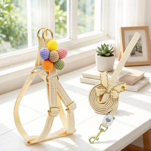 Pet Leash and Matching Collar Set, Adjustable Dog Collar & Lead, Stylish Walking Accessories, Gift for Dogs and Puppies