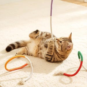 May include: A brown tabby cat lying on its back while playing with a long, flexible rope toy. The rope features segments of purple, orange, and green wrapped around a white cord, with frayed ends visible on the loose sections of the toy.