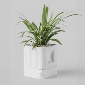 Peut inclure: Une plante araignée en pot dans un pot carré blanc texturé. Le pot présente un design géométrique avec des lignes verticales et une forme carrée en retrait. La plante a de longues feuilles vertes et blanches rayées, et le sol est recouvert de petits galets.