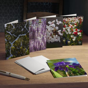 Könnte beinhalten: Eine Sammlung leerer Grußkarten und gefalteter Karten mit Naturmotiven, darunter Bäume, Blauregen, Kirschblüten, Tulpen und eine Iris. Ein Stift liegt auf der Holzoberfläche. Die Karten sind auf einem Holztisch angeordnet.