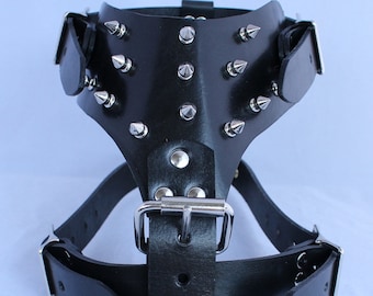 May include: Black leather dog harness with silver metal spikes and a buckle. The harness has a pointed strap at the bottom. The text "Guillén's Leather" is visible at the bottom of the image.