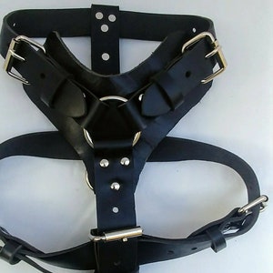 Large Leather Dog Harness with a Ring in the Center image 1