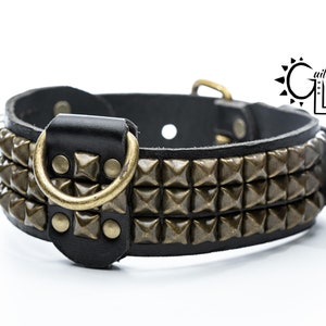 2 Inch Wide (Brass Pyramid Studs) Leather Dog Collar