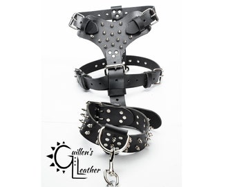 Large Harness, 2 Inch Wide Collar and Leash Set (Small Spikes)