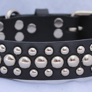 1 Inch Wide (Circle Studs) Leather Dog Collar