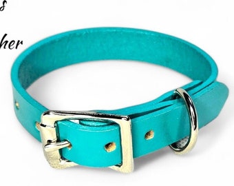 5/8 Inch Wide (Plain) Turquoise Leather Dog Collar