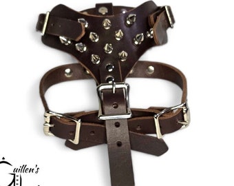 Small Leather Dog Harness with Spikes (Brown)