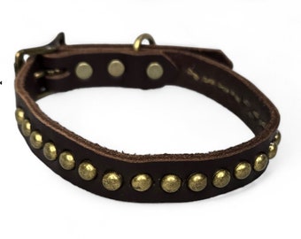 5/8 Inch Wide Brown Leather Dog Collar with Brass Circle Studs