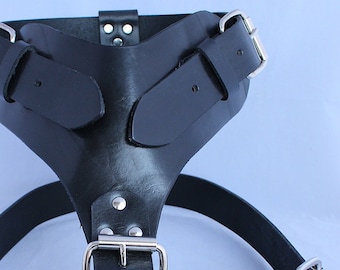 May include: Black leather harness with silver buckles and straps. The harness has a pointed strap in the front and two straps that wrap around the waist.
