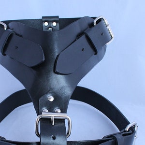 Extra Large Leather Dog Harness image 1