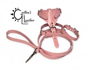 Small Dog Starter Leather Set (Harness, Collar, and Leash) Plain