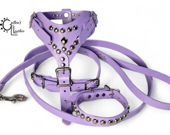 Small Dog Starter Leather Set (Harness, Collar, and Leash) with Circle Studs