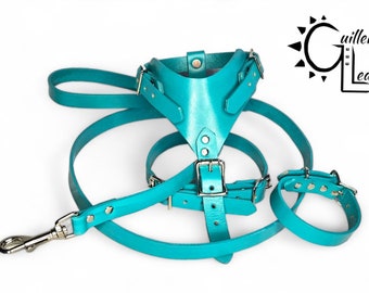 Small Dog Starter Leather Set (Harness, Collar, and Leash) Plain