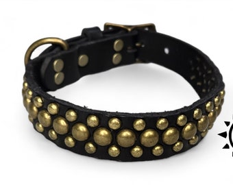 1 Inch Wide (Brass Circle Studs) Leather Dog Collar