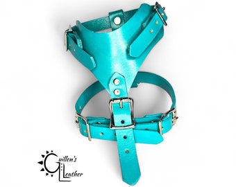 Small Plain Leather Dog Harness (Turquoise)