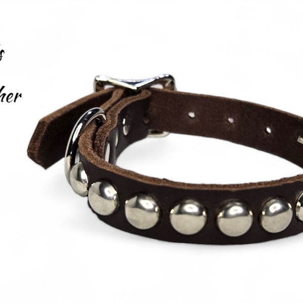 5/8 Inch Wide Brown Leather Dog Collar with Chrome Circle Studs