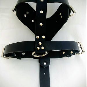 Large Leather Dog Harness with a Ring in the Center image 2