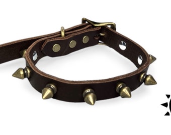 5/8 Inch Wide Brown Leather Dog Collar with Brass Spikes