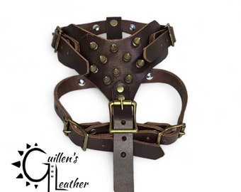 Small Leather Dog Harness with Bronze Spikes (Brown)