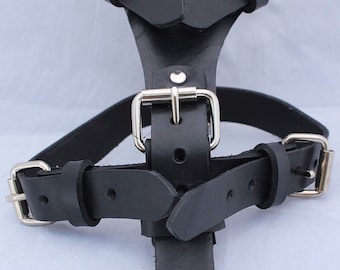 May include: Black leather harness with silver buckles and straps. The harness has a Y-shaped design with two straps that connect to the front and two straps that connect to the back. The harness is made of high-quality leather and is designed for comfort and durability.  Guillén's Leather.