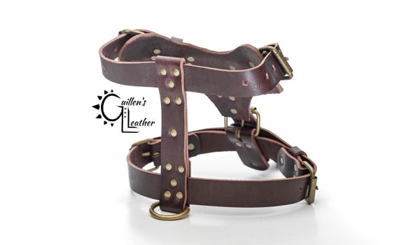 Dog Harness Pattern leather Harness With Pocket DIY Pdf Download