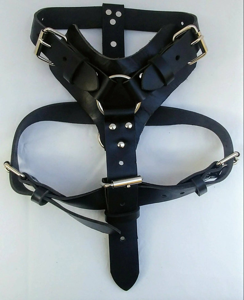 Large Leather Dog Harness with a Ring in the Center image 1