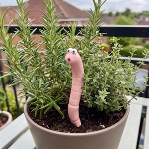 May include: A light pink, segmented worm figurine with two white googly eyes and a small open mouth, positioned upright in the dark soil of a round, light brown planter pot filled with green rosemary and thyme herbs.