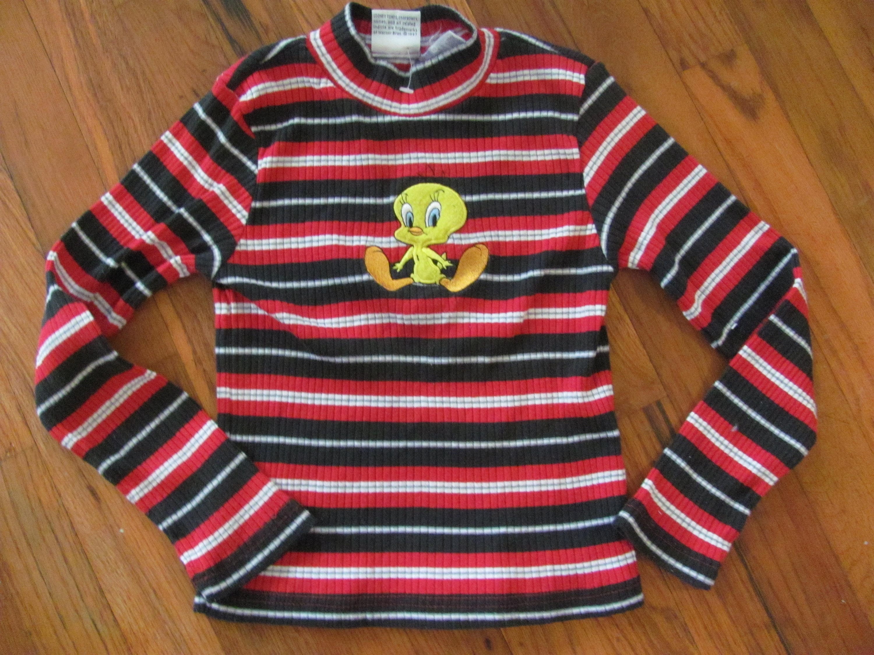 Looney Tunes Kid Boy/Kid Girl Colorblock Striped Long-sleeve Tee