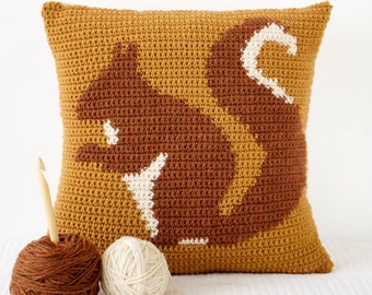 Crochet Decor Pattern, Cushion For Fall, Crochet Pattern, Squirrel Pillow, Woodland Decor, Single Crochet, Cascade 220, Aran Weight