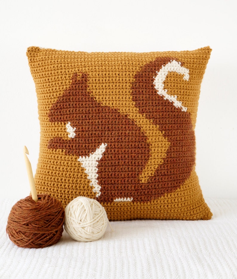 Crochet Decor Pattern, Cushion For Fall, Crochet Pattern, Squirrel Pillow, Woodland Decor, Single Crochet, Cascade 220, Aran Weight image 1