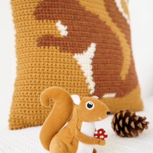 Crochet Decor Pattern, Cushion For Fall, Crochet Pattern, Squirrel Pillow, Woodland Decor, Single Crochet, Cascade 220, Aran Weight image 2