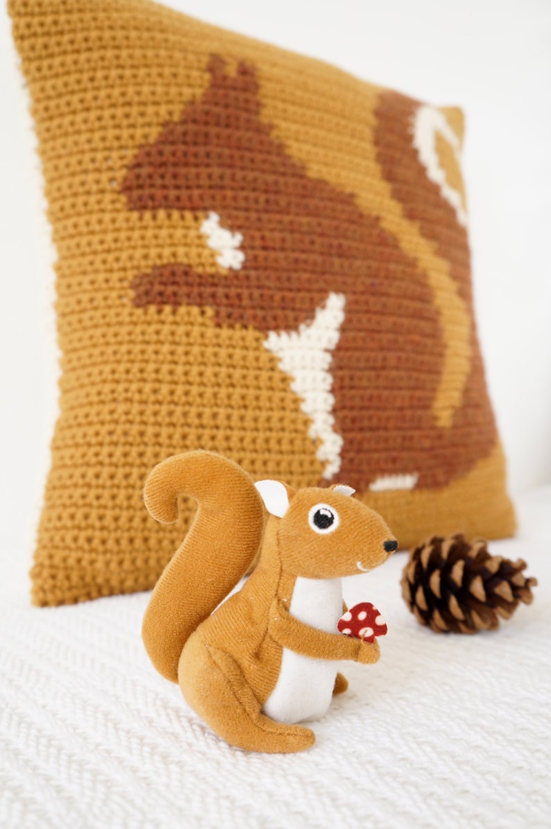 Crochet Decor Pattern, Cushion For Fall, Crochet Pattern, Squirrel Pillow, Woodland Decor, Single Crochet, Cascade 220, Aran Weight image 2