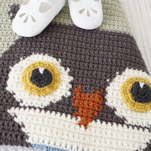 Puede incluir: Una manta de beb&eacute; de ganchillo con forma de b&uacute;ho, hecha con hilo marr&oacute;n, blanco, verde y azul. La manta presenta una gran cara de b&uacute;ho con dos ojos grandes y un peque&ntilde;o pico naranja. Dos peque&ntilde;os zapatos blancos para beb&eacute; est&aacute;n colocados encima de la manta.