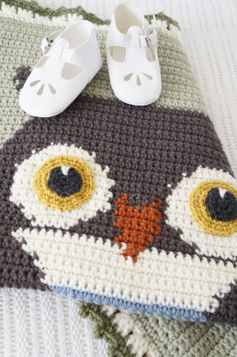 Puede incluir: Una manta de beb&eacute; de ganchillo con forma de b&uacute;ho, hecha con hilo marr&oacute;n, blanco, verde y azul. La manta presenta una gran cara de b&uacute;ho con dos ojos grandes y un peque&ntilde;o pico naranja. Dos peque&ntilde;os zapatos blancos para beb&eacute; est&aacute;n colocados encima de la manta.