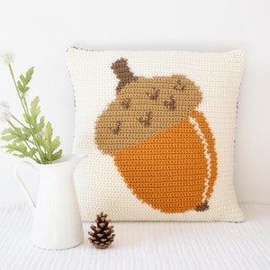 May include: A crocheted pillow with an acorn design. The acorn is brown and orange and is centered on the white pillow.