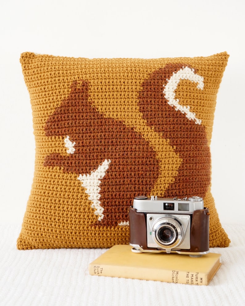 Crochet Decor Pattern, Cushion For Fall, Crochet Pattern, Squirrel Pillow, Woodland Decor, Single Crochet, Cascade 220, Aran Weight image 3