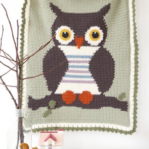 Puede incluir: Una manta de ganchillo con forma de b&uacute;ho con fondo verde y un b&uacute;ho marr&oacute;n con patas naranjas. El b&uacute;ho tiene ojos amarillos y un cuerpo a rayas blanco y morado. La manta tiene un borde de ganchillo verde y blanco.