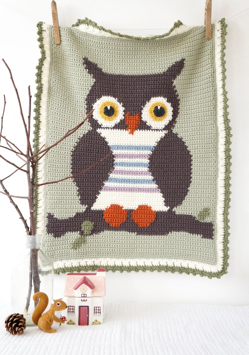 Puede incluir: Una manta de ganchillo con forma de b&uacute;ho con fondo verde y un b&uacute;ho marr&oacute;n con patas naranjas. El b&uacute;ho tiene ojos amarillos y un cuerpo a rayas blanco y morado. La manta tiene un borde de ganchillo verde y blanco.