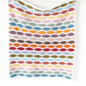 May include: A colorful crocheted blanket with a wavy pattern in shades of blue, green, yellow, orange, red, and brown. The blanket is hanging on a white wall with wooden clothespins.