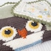 Baby Afghan Crochet Pattern, Woodland Nursery, Owl Blanket, Forest Decor, Sensory Blanket, Play Throw, Tummy Time, Picture Crochet,Graphghan