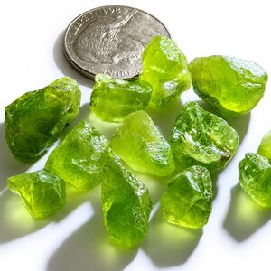 Puede incluir: Una colección de once piedras preciosas de peridoto en bruto, translúcidas y de color verde lima, de formas y tamaños irregulares, dispuestas junto a una moneda de níquel estadounidense de color plateado para mostrar la escala y la textura natural.