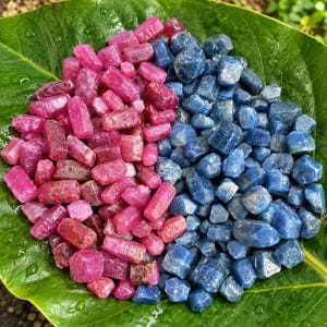 Puede incluir: Una colección de piedras preciosas en bruto y sin pulir dispuestas sobre una hoja verde grande. El lado izquierdo presenta numerosos rubíes pequeños de color rosa vibrante, mientras que el derecho contiene zafiros de color azul intenso.