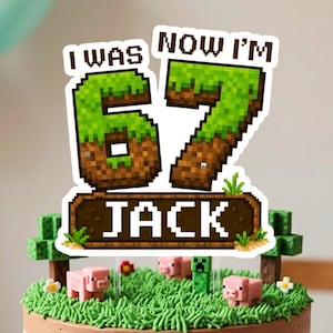 Può includere: Un topper per torta con il testo pixelato I WAS 67 NOW I'M JACK. I numeri 67 sono disegnati con una parte superiore in erba verde e una base in terra marrone. Sotto, il nome JACK è visualizzato su un cartello in legno marrone con erba.